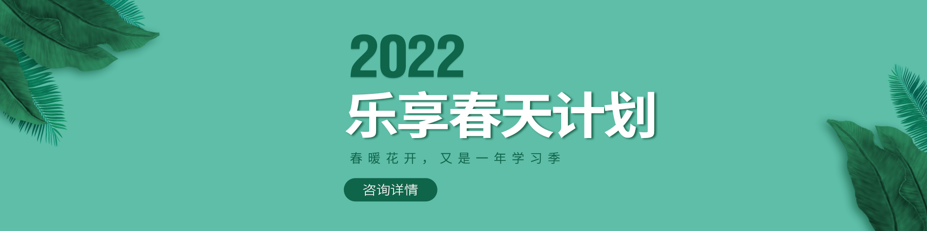 大鸡巴操我免费视频